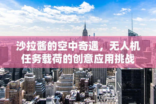 沙拉酱的空中奇遇，无人机任务载荷的创意应用挑战
