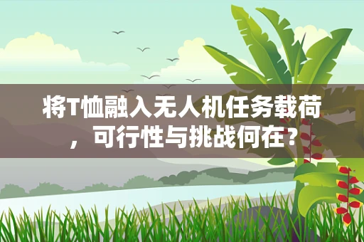 将T恤融入无人机任务载荷，可行性与挑战何在？