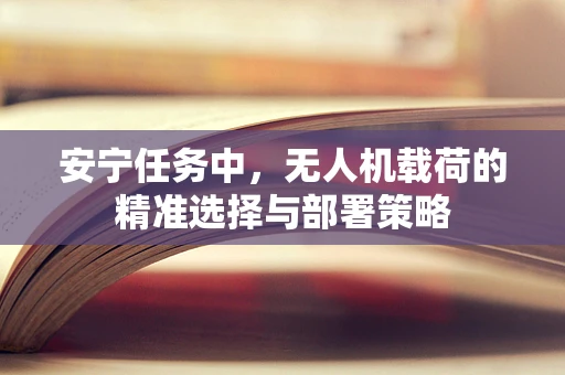 安宁任务中，无人机载荷的精准选择与部署策略