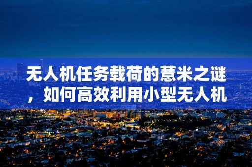 无人机任务载荷的薏米之谜，如何高效利用小型无人机进行精准播种？