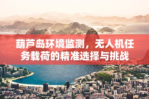 葫芦岛环境监测，无人机任务载荷的精准选择与挑战