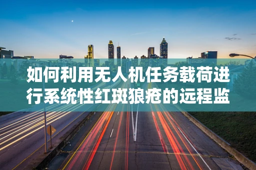 如何利用无人机任务载荷进行系统性红斑狼疮的远程监测？