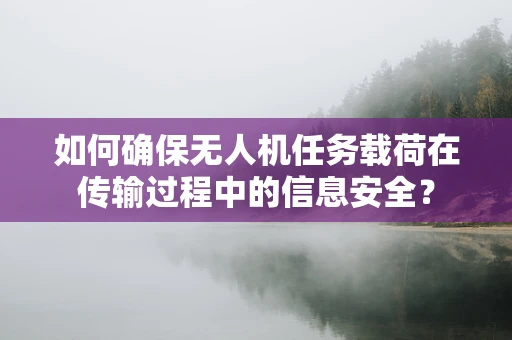 如何确保无人机任务载荷在传输过程中的信息安全？