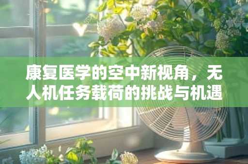康复医学的空中新视角，无人机任务载荷的挑战与机遇