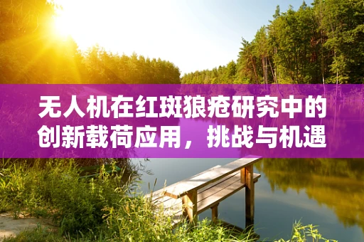 无人机在红斑狼疮研究中的创新载荷应用，挑战与机遇？