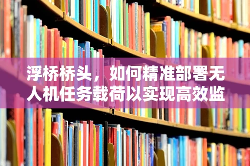 浮桥桥头，如何精准部署无人机任务载荷以实现高效监测？