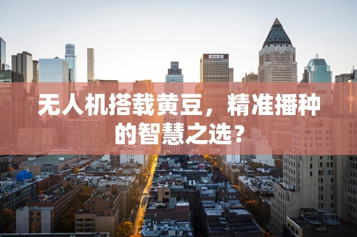 无人机搭载黄豆，精准播种的智慧之选？