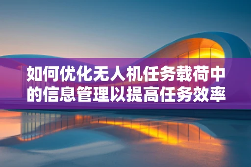 如何优化无人机任务载荷中的信息管理以提高任务效率？