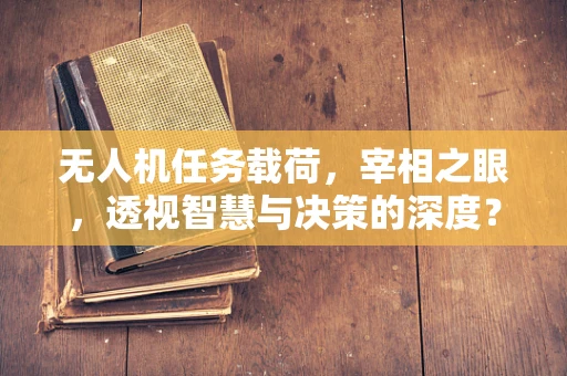 无人机任务载荷，宰相之眼，透视智慧与决策的深度？