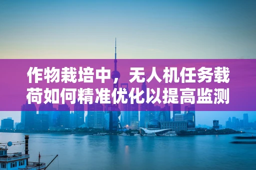 作物栽培中，无人机任务载荷如何精准优化以提高监测效率？