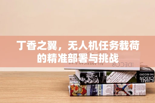 丁香之翼，无人机任务载荷的精准部署与挑战
