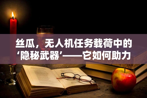 丝瓜，无人机任务载荷中的‘隐秘武器’——它如何助力农业监测？