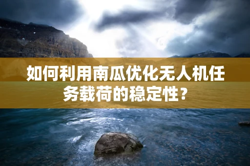 如何利用南瓜优化无人机任务载荷的稳定性？
