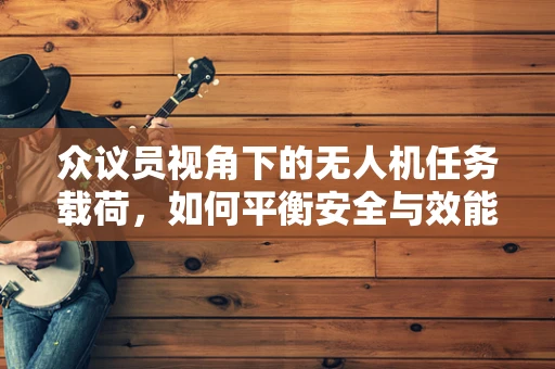 众议员视角下的无人机任务载荷，如何平衡安全与效能？