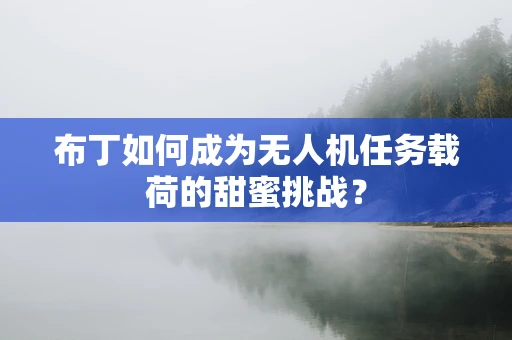 布丁如何成为无人机任务载荷的甜蜜挑战？