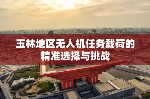 玉林地区无人机任务载荷的精准选择与挑战