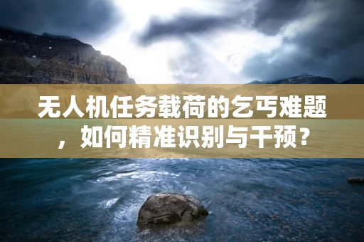 无人机任务载荷的乞丐难题，如何精准识别与干预？