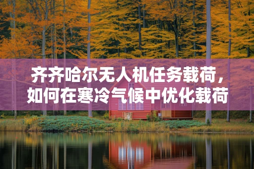 齐齐哈尔无人机任务载荷，如何在寒冷气候中优化载荷性能？