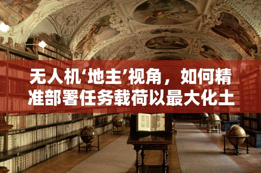 无人机‘地主’视角，如何精准部署任务载荷以最大化土地监测效率？