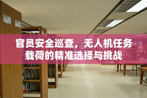 官员安全巡查，无人机任务载荷的精准选择与挑战