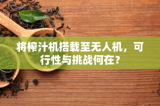 将榨汁机搭载至无人机，可行性与挑战何在？