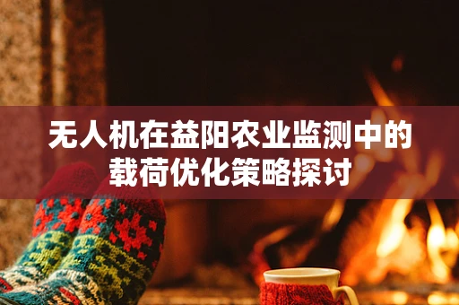 无人机在益阳农业监测中的载荷优化策略探讨
