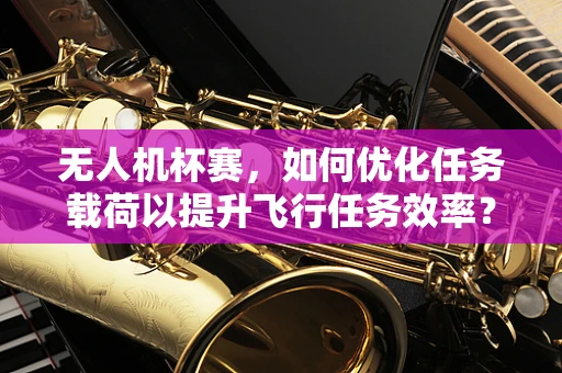 无人机杯赛，如何优化任务载荷以提升飞行任务效率？