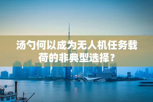 汤勺何以成为无人机任务载荷的非典型选择？