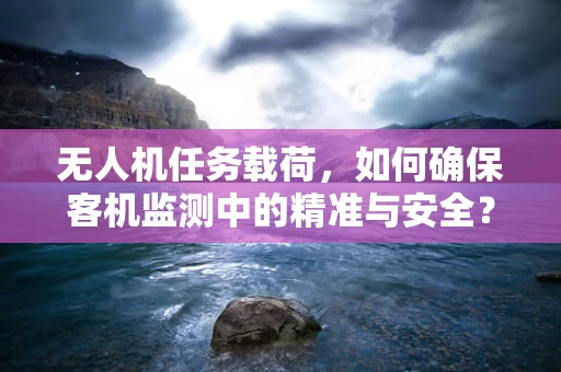 无人机任务载荷，如何确保客机监测中的精准与安全？