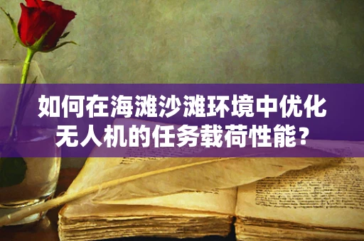 如何在海滩沙滩环境中优化无人机的任务载荷性能？