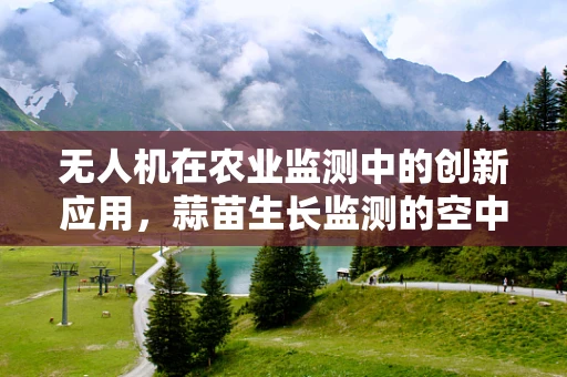 无人机在农业监测中的创新应用，蒜苗生长监测的空中之眼