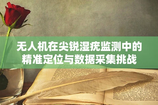 无人机在尖锐湿疣监测中的精准定位与数据采集挑战