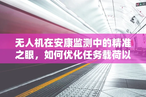 无人机在安康监测中的精准之眼，如何优化任务载荷以提升数据准确性？