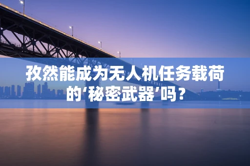 孜然能成为无人机任务载荷的‘秘密武器’吗？