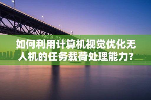 如何利用计算机视觉优化无人机的任务载荷处理能力？