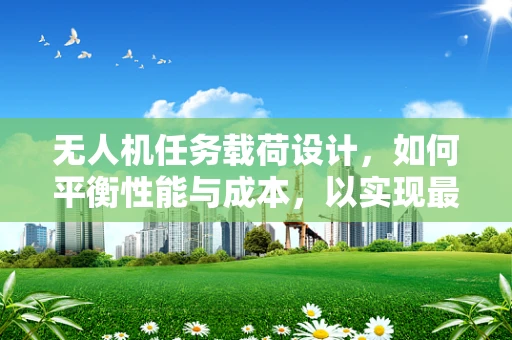无人机任务载荷设计，如何平衡性能与成本，以实现最优设计？