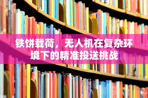铁饼载荷，无人机在复杂环境下的精准投送挑战