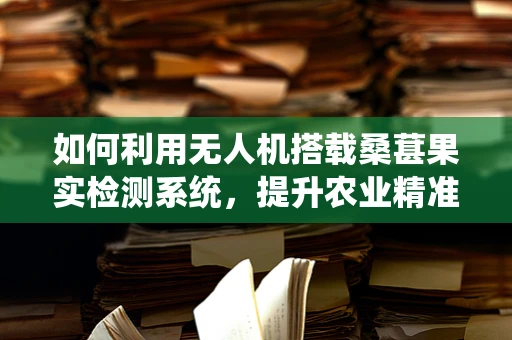如何利用无人机搭载桑葚果实检测系统，提升农业精准管理？