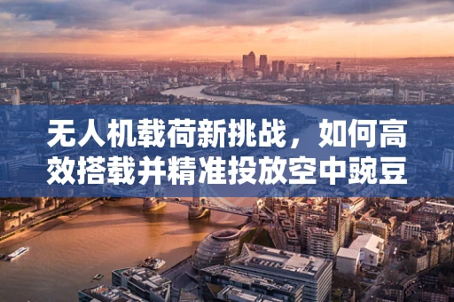 无人机载荷新挑战，如何高效搭载并精准投放空中豌豆？