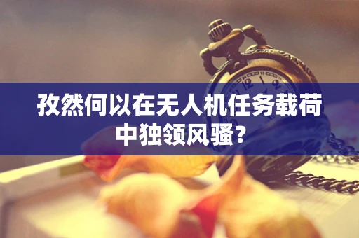 孜然何以在无人机任务载荷中独领风骚？