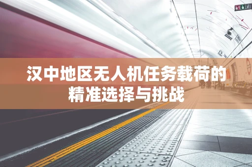 汉中地区无人机任务载荷的精准选择与挑战