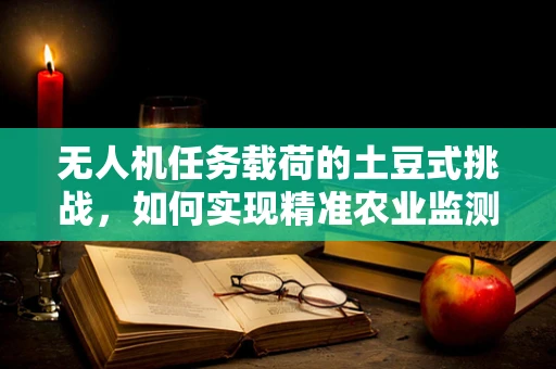 无人机任务载荷的土豆式挑战，如何实现精准农业监测中的高效载荷设计？