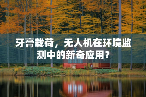 牙膏载荷，无人机在环境监测中的新奇应用？