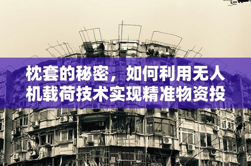 枕套的秘密，如何利用无人机载荷技术实现精准物资投放？