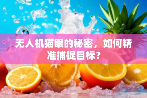 无人机猫眼的秘密，如何精准捕捉目标？