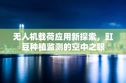 无人机载荷应用新探索，豇豆种植监测的空中之眼