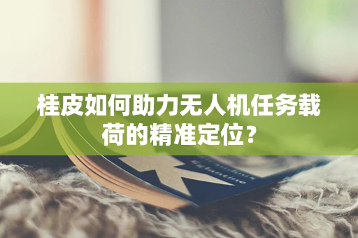 桂皮如何助力无人机任务载荷的精准定位？