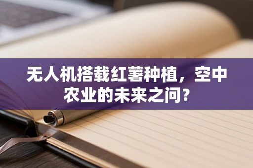 无人机搭载红薯种植，空中农业的未来之问？