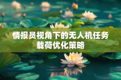 情报员视角下的无人机任务载荷优化策略
