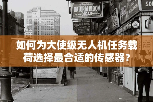 如何为大使级无人机任务载荷选择最合适的传感器？